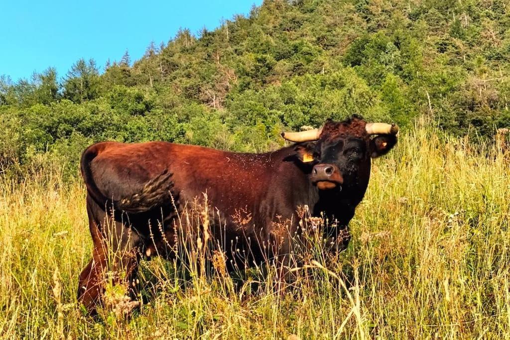 Appartamento Di Montagna Lo Grop Chambave Εξωτερικό φωτογραφία